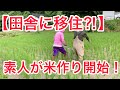 【季節 × 移住】移住より先に農業を始める⁈ 【田舎移住】富山県南砺（なんと）市で無農薬のお米を作りたい❣️米作り１年生の農作業風景