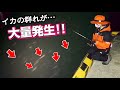 漁港内に100匹以上のイカの群れが大量発生✨【エギング&浮き釣り】