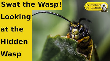 Beware the HiddenWasp in Linux!