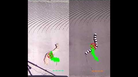 Artificial Scale-Aided Snake-like Locomotion: Lateral Undulation on Homogeneous Concrete