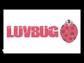 LuvBug - Revive (Say Something) Behind The Scenes