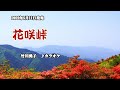 『花咲峠』竹川美子 カラオケ 2022年5月11日発売