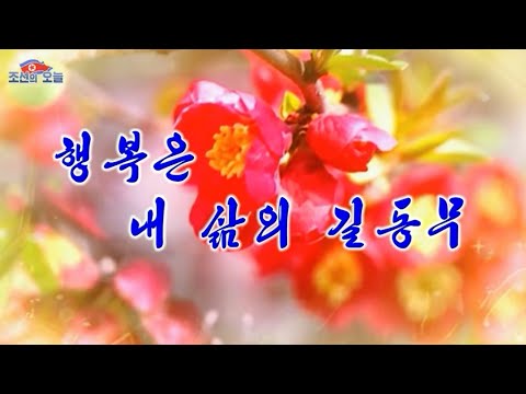 Pochonbo Electronic Ensemble - 행복은 내 삶의 길동무 (Happiness Is the Companion of My Life)