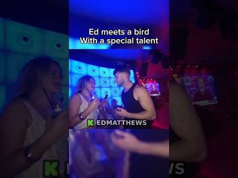 Ed Meets A Bird With A Special Talent Fyp Foryou Viral Edmatthews Shorts Stream Kick Life