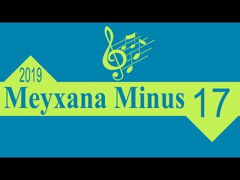 aZeLiGa StuDio - Meyxana Minus 2019 (17)  (Aqil Musayev)