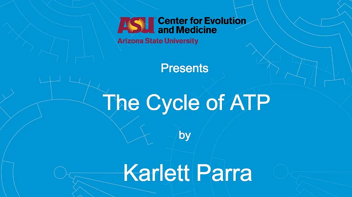 The Cycle of ATP | Karlett Parra