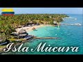 🌴 ISLA MÚCURA🌴 el mejor hotel VIP del caribe de COLOMBIA