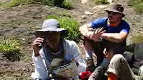 Altitude Sickness Kicks In on the Tibetan Plateau - DayDayNews