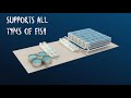 Blugen & Alpha Aqua - flat fish farming Solutions