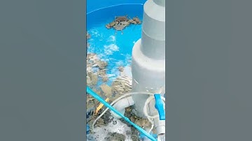 Lọc nước trữ hải sản cho bà con nào cần