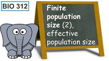 Finite population size (2), effective population size.