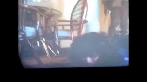 Terminator   Ginger Dies(Morte da Ginger)
