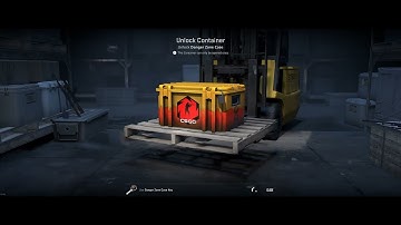 Opening A Danger Zone Case everyday, until i get a knife #247