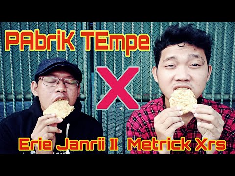 Pabrik Tempe •