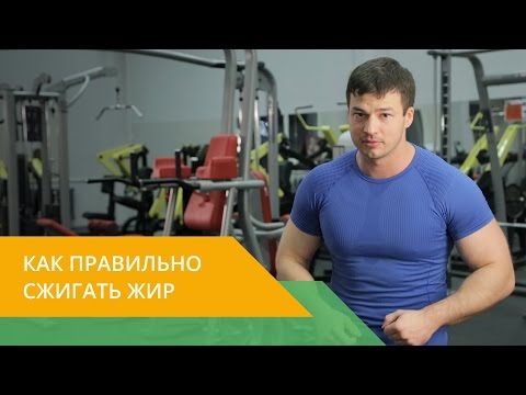 Здоровый спорт с Energy Diet. Как продуктивно сжигать жир