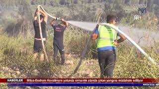 Milas-Bodrum Havalimanı Yolunda Ormanlık Alanda Çıkan Yangına Müdahale Ediliyor