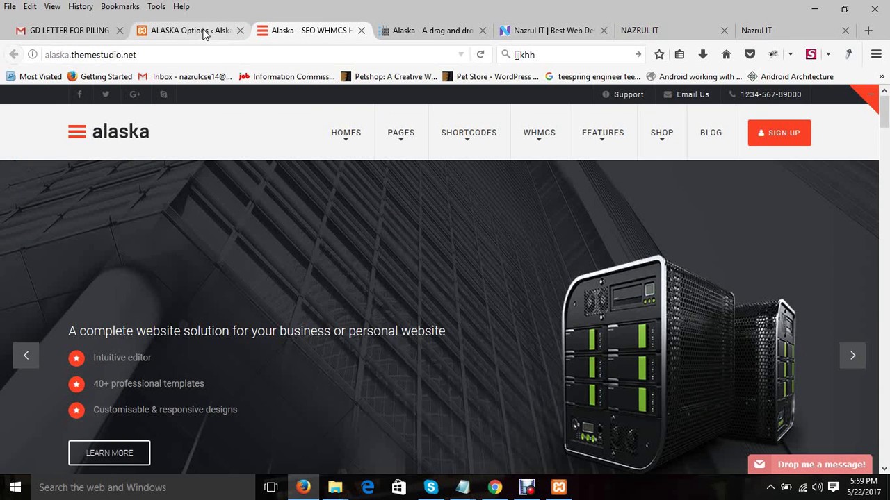 ⁣How to the Develop a website using  Wordpress Paid Theme