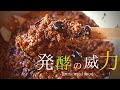 おいしい発酵食品、約11年間食べ続けた麹納豆、私の作り方
