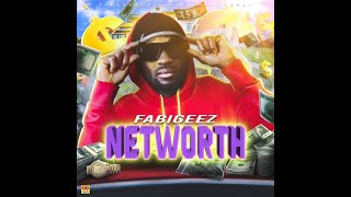 FabiGeez - NetWorth