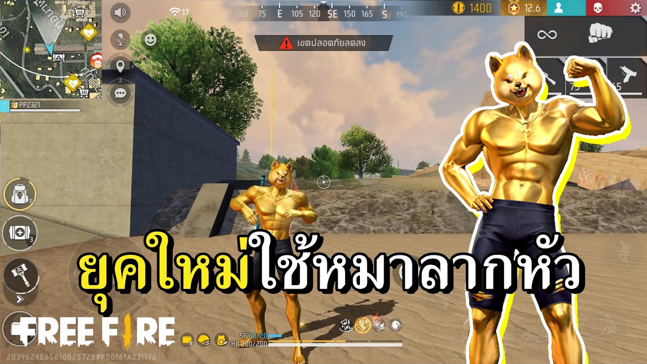 หมากล้ามทอง ตัวตึงดึงหน้าสั่น