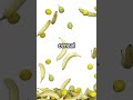 #shorts #viral #fyp #meme #funny #skibidi #npc #sigma #slime #roblox #minecraft #zoom