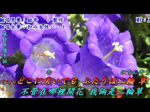 二輪草(二輪草)對唱版1998(日語~川中美幸&弦哲也+翻譯)銘哥+和み女性パート翻唱[台語版：漂浪的心情(洪百慧)]