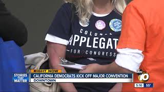 Major decisions upcoming for California Democrats