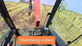 FarmVlog#273 - Weinberg roden mit Mini Bagger