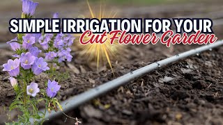 EASY Gardening Irrigation: Setting Up A Drip System For Your Cut Flower Garden