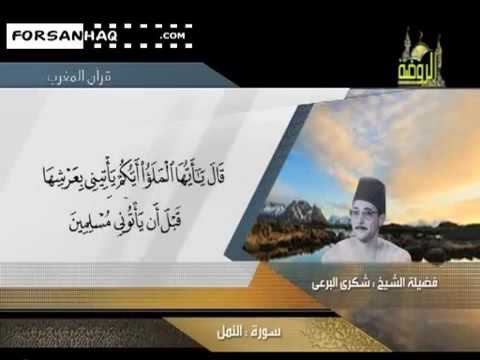 I الشيخ شكرى البرعى رحمه الله سورة النمل