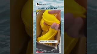 Bir Muz Mu, Bir Kabı Mı? 🍌