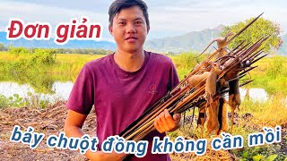 Bẩy chuột đồng không cần mồi nhử của người dân ninh thuận quá lợi hại/Lên chân đất tv