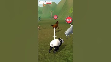 Animal Merge #youtubevideo #shorts #viralvideo