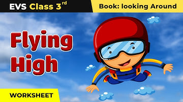 Flying High Worksheet | Class 3 Environmental Studies | Class 3 EVS Chapter 8 | 2024-25