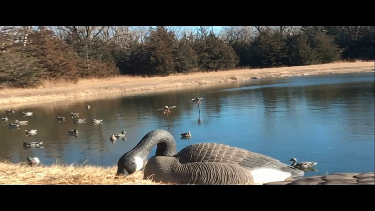 Late Season Goose Hunting In Nebraska YouTube