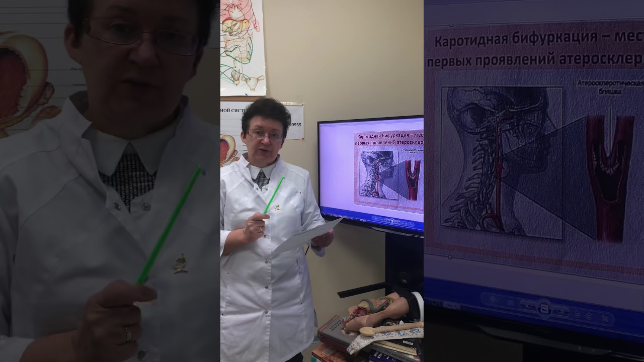 «Как помочь мозговому кровотоку при сужении сосудов в шейном отделе»