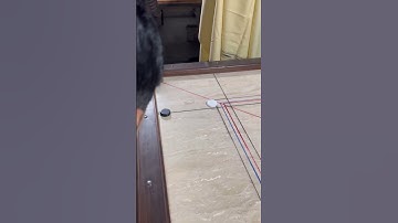 Chacha 😱😱🥌🥌🎯🎯