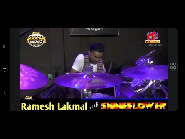 SUNFLOWER Style Drum Solo by SHINEFLOWER class=