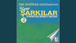 Gün Gelir De Beni Unutursun / Unutamam Seni Resimi