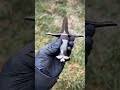 The VICTORUM Dagger is complete! What do y’all think?