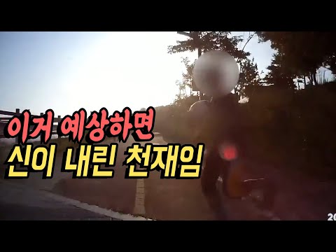 5966회. 자전거 도로 따라서 진행 중 우측 풀숲에서 뛰어나온 어린이와 사고