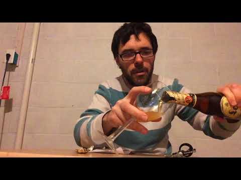 DG Beer Review: Leffe Blonde