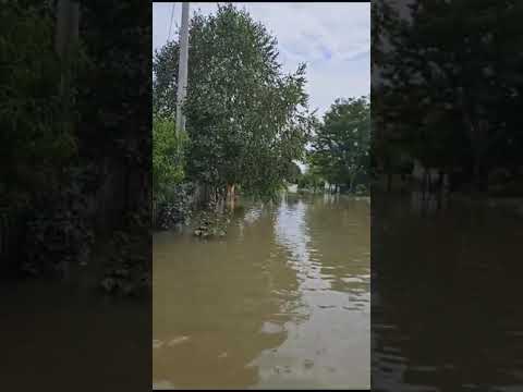 Tori u Sigecu poplavljen