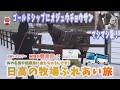 【オジュウチョウサン】特別公開！ゴールドシップにアドマイヤジャパン！育成ウマ娘ガチャで話題のタニノギムレットも！　日高・日帰りバスツアー