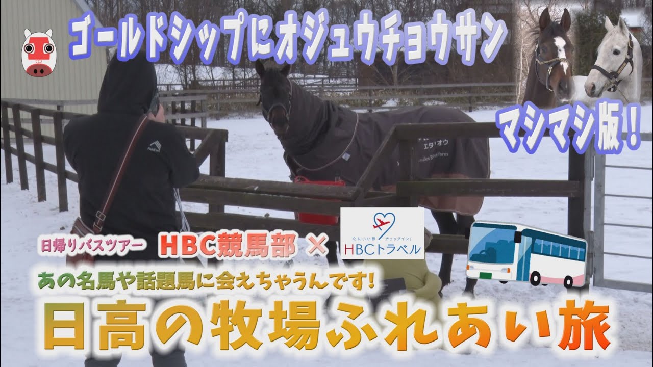 【オジュウチョウサン】特別公開！ゴールドシップにアドマイヤジャパン！育成ウマ娘ガチャで話題のタニノギムレットも！　日高・日帰りバスツアー