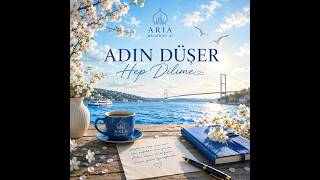 Adin Düşer Hep Di̇li̇me Aria Melodies Ai