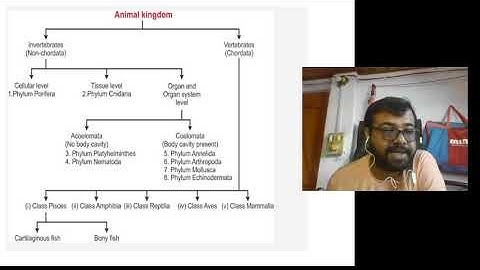 Video-2 for FDP programme assignment-2 by Ramanujan College.