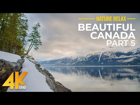 वीडियो: स्वीडन नदी के दृश्यों के साथ कनाडा में आधुनिक 