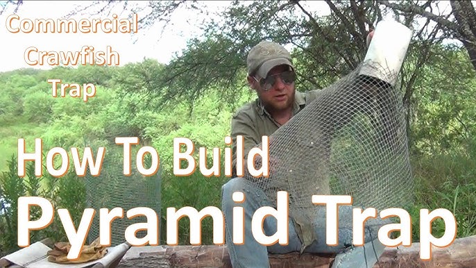 Pyramid Trap How To Build And Set Diy Comercial Crawfish You - Best Diy Crawfish Trap Pyramid Trap How To Build And Set Diy Comercial Crawfish You - Best Diy Crawfish Trap