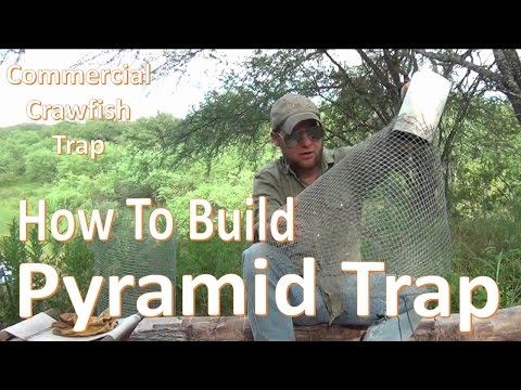 Pyramid Trap -How to Build and Set- DIY Comercial Crawfish Trap 